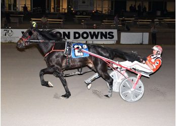 Five-star performance from John MacDonald