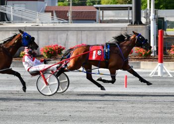 Allan Davis nails six winners at Harrington