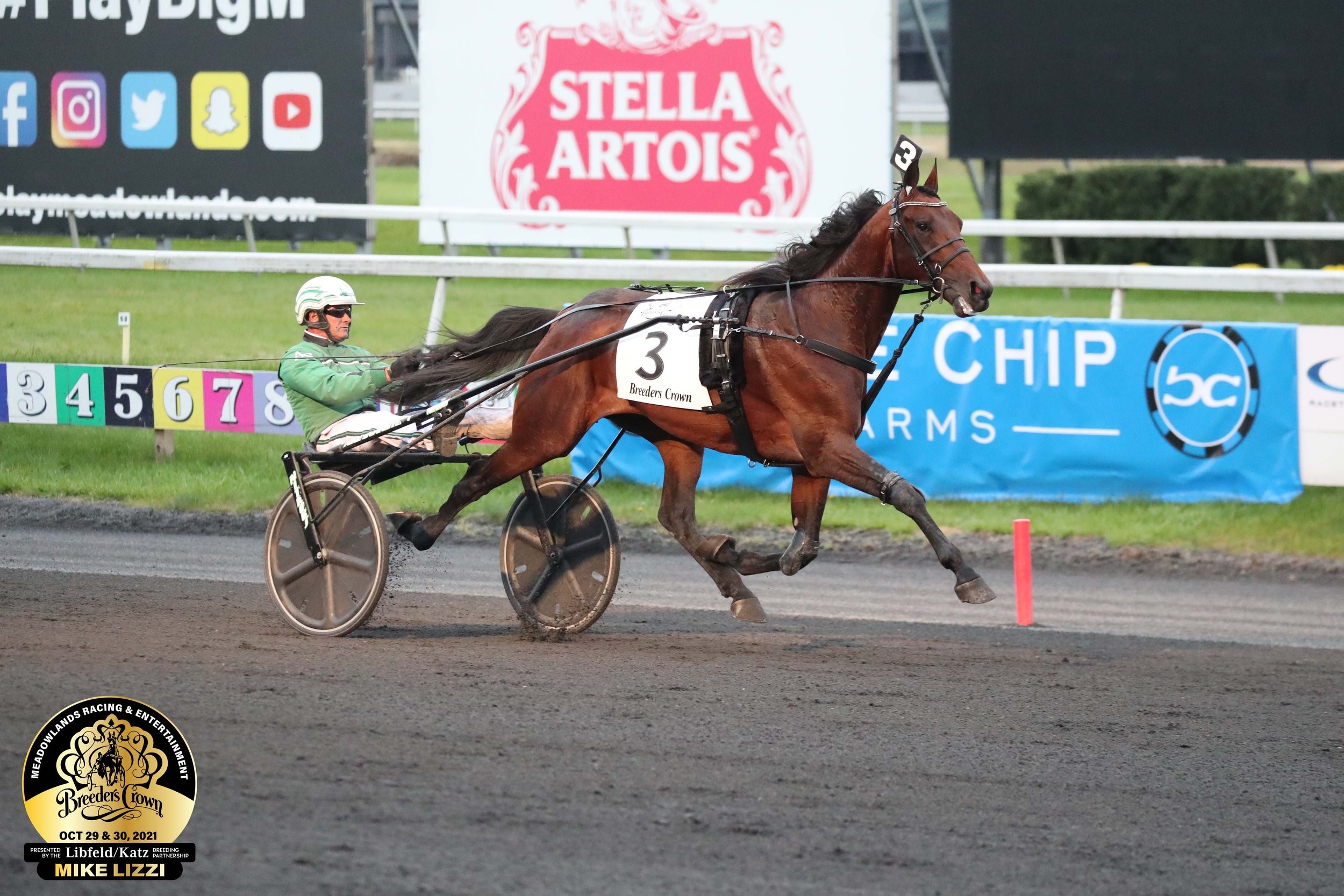 World champion trotter Ecurie D available down under