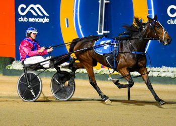 Escape The Pace runs rivals ragged in Bulli Trotters Cup
