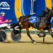 Escape The Pace runs rivals ragged in Bulli Trotters Cup