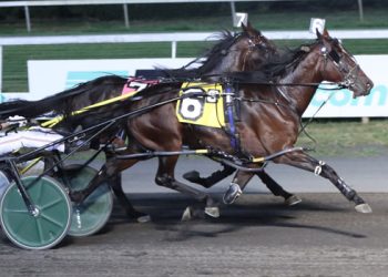 Strong fields assembled for $100,000 Paul Revere Pace