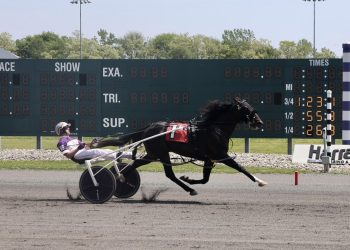 Ammo dynamite in 2023 debut