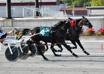 Grand Cayman takes another Open Pace