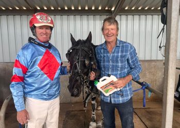 Patience brings success for comeback pair