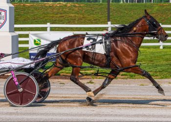 Im Sir Blake A grinds it out at Oak Grove Racing