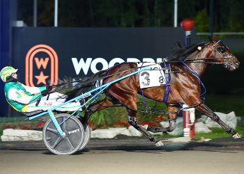 Top sophomores ready for battle in $542,000 SBOA finals