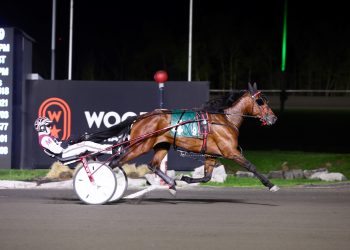 Ontario Sires Stakes kicks off on Juravinski Memorial night