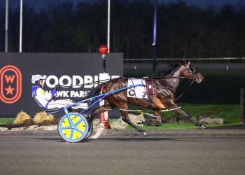 Spring Series winner ready to start Grassroots campaign