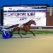 Eleventh consecutive win for Running Aces star