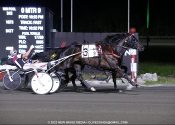 Logan Park in time for fifth $36,000 Free For All win