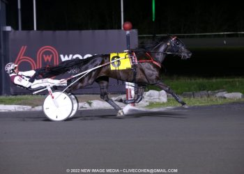 Logan Park beastly in Free For All romp