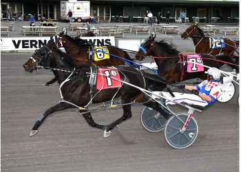 Affrunti sweeps Vernon features