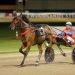 Lovemeto emphatic in Ferguson’s first Group One victory