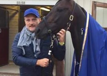 Marco Scarton and the feeling called Elitloppet