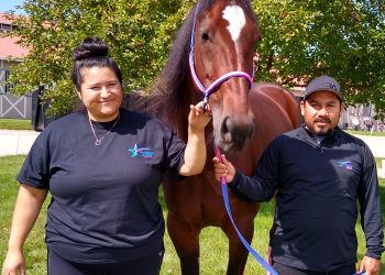 Running Aces leading stable ready to defend title