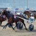 Mister Hercules wins; gets Elitloppet Pink Ticket 1 Mister Hercules wins; gets Elitloppet Pink Ticket