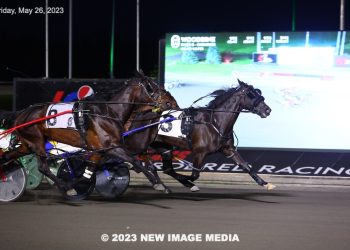 Mollop Hanover makes it four-for-four