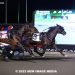 Mollop Hanover makes it four-for-four 2 Mollop Hanover makes it four-for-four