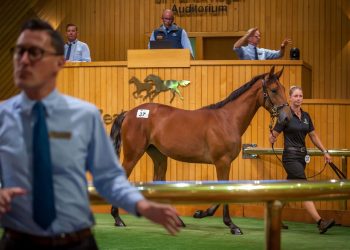 2023 National Weanling Sale live broadcast details