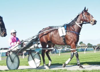 Nek Delight nails first win