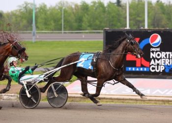 No Control stays perfect with career best