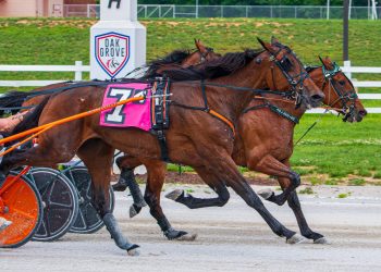 Keg Stand ties trotting mark in $600,000 KYSS Finals