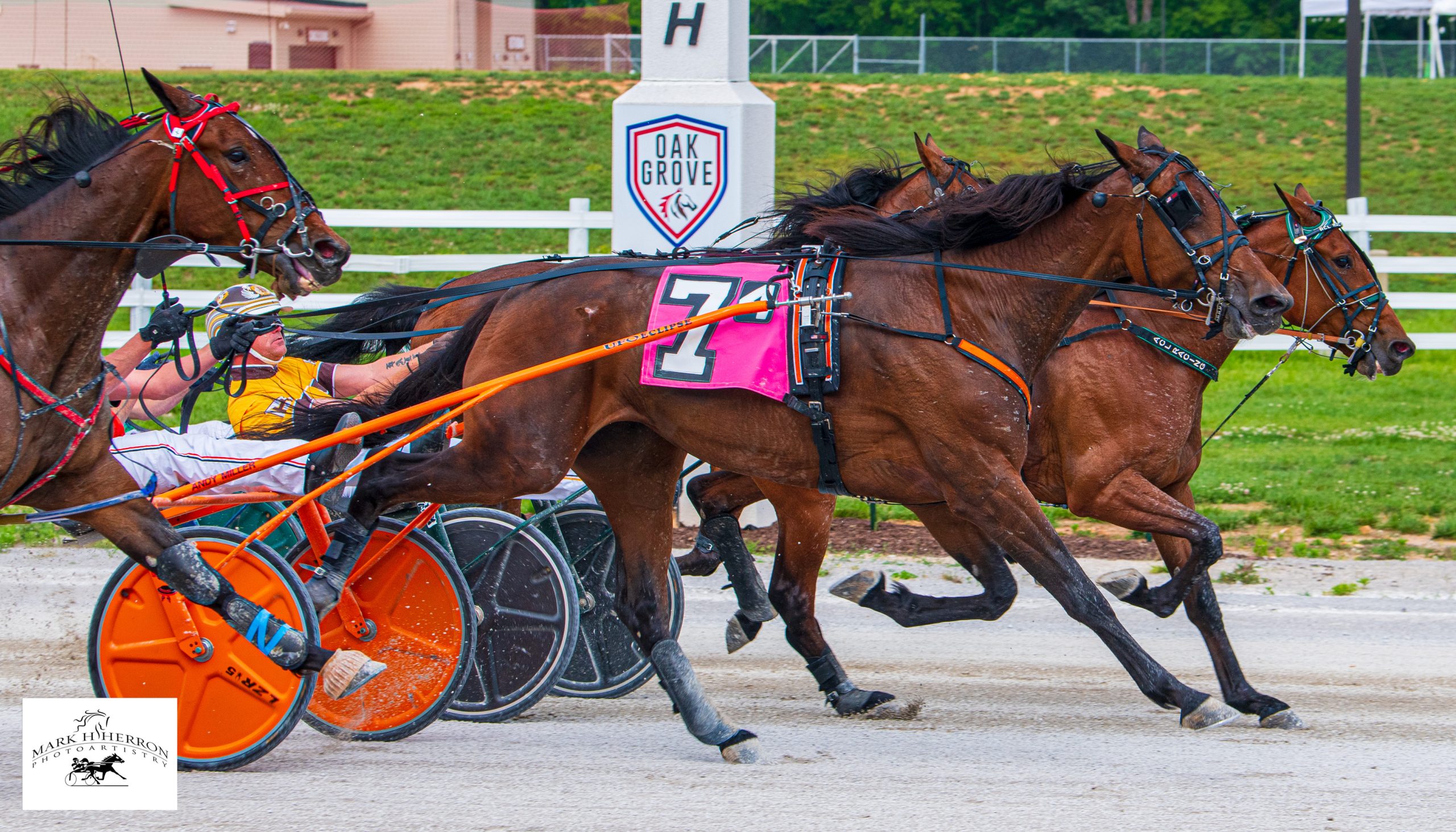 Keg Stand ties trotting mark in $600,000 KYSS Finals - Harnesslink