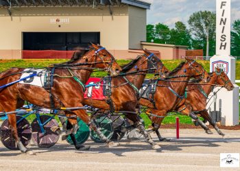 Mostly upsets in $200,000 Kentucky Sire Stakes at Oak Grove