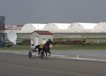 Shark Week smashes Century Downs all-age record