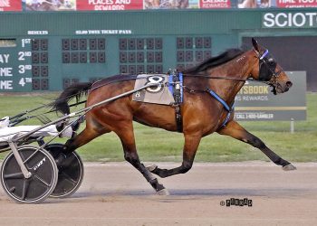 Refined shines opening night at Scioto Downs