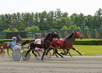 Stillwell’s defiance golden in ADHC