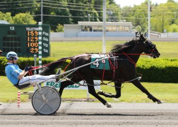 Zuccarello and Snap Call take the ADHC pot