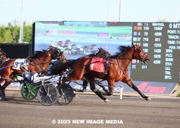 Breeders Crown champ returns sharp