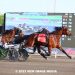 Breeders Crown champ returns sharp