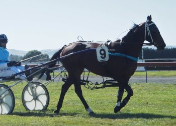 Invercargill Preview – Dewe + pic