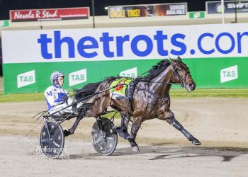 Gun juvenile scores another brilliant win