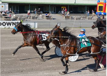 Tight finishes in Vernon features