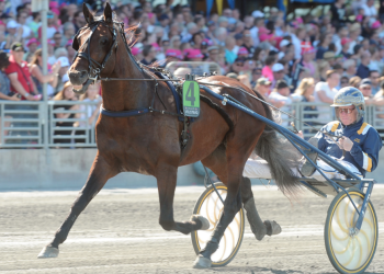 Volstead progeny shine in juvenile features