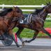 Yanaba lowers her track record in $50,000 trot 2