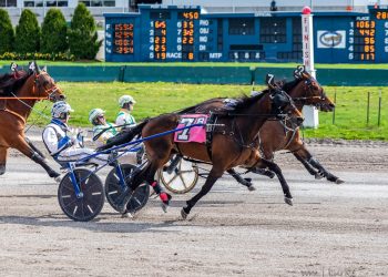 Castyourcrown captures Open Trot crown