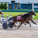 Castyourcrown captures Open Trot crown