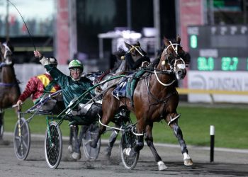 Weanling Sale is a springboard to racetrack success