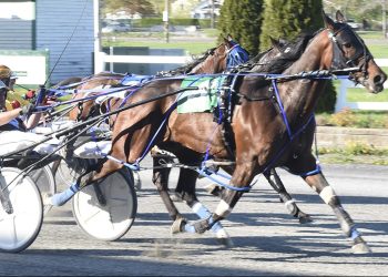 Switzer ends day with big finale at Bangor