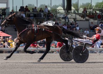 Elims complete for North America Cup, Fan Hanover, Ambro Flight