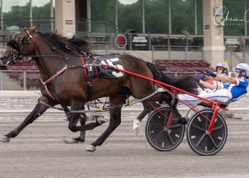 Fulton heads $245,000 PA Sire Stakes Saturday