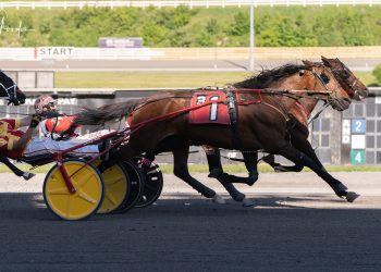 Heist swipes Meadows top trot