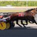 Heist swipes Meadows top trot 3 Heist swipes Meadows top trot