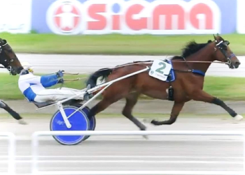 Vernissage Grif powers to 660,000€ 74th GP Lotteria triumph