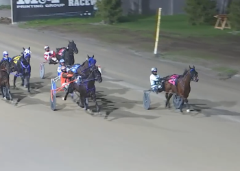 Cheddar Bay back to London, back to victory lane